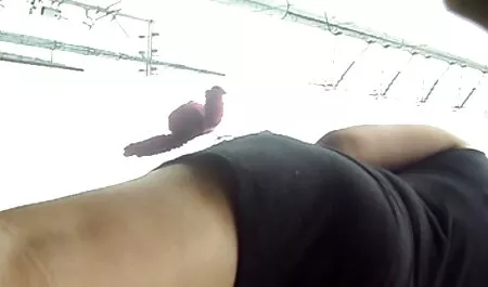 Jebeni xxx videos italiana prstima anus prsata brineta, momak se bori da gurne svoj penis u njega
